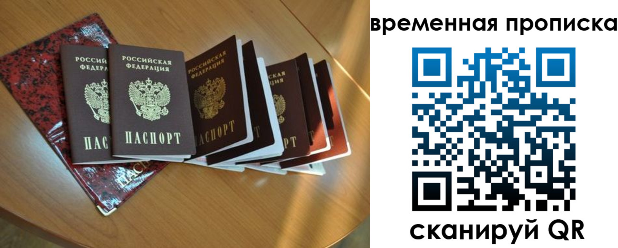 прописка в Нелидово