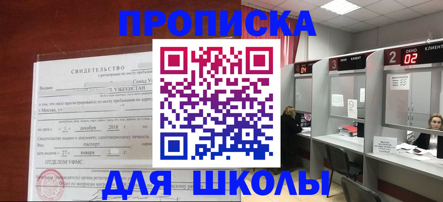 где прописаться в Нелидово